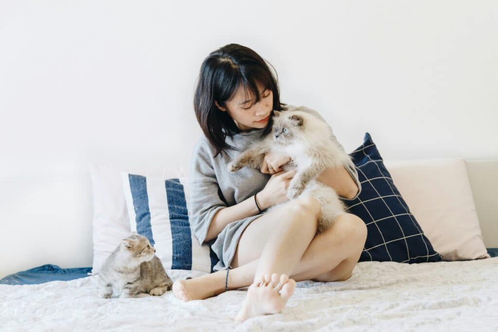 Mulher sentada na cama, segurando um gato fofo - perfeito para aprender Cómo adaptar la rutina del animal a tu horario