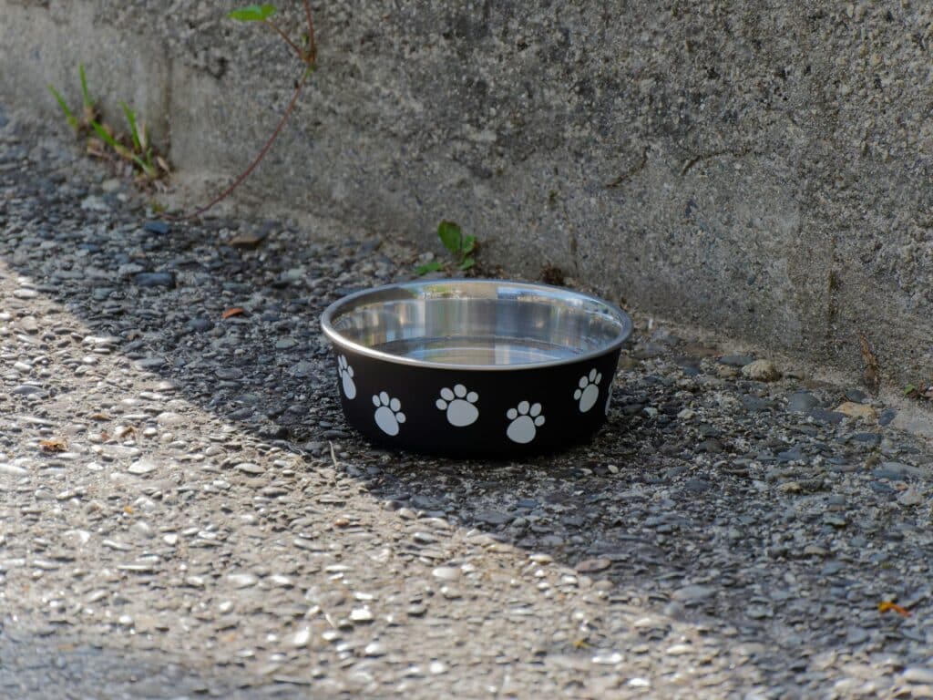 Uma tigela preta para animais de estimação com pegadas brancas fica na calçada - ideal para manter a água de seu mascota sempre limpa e fresca.
Cómo mantener el agua de tu mascota siempre limpia y fresca